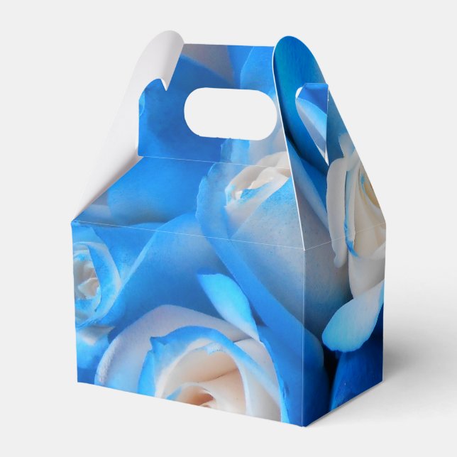 Diemudis Favor Box (Back Side)