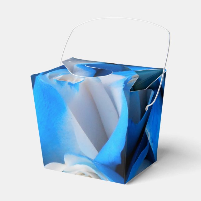 Diemudis Favor Box (Front Side)
