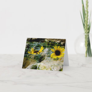 Difference of Opinion Note Card