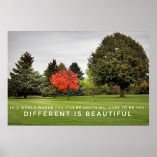 Different is Beautiful Poster