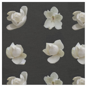 Different Magnolia flowers on black fabric