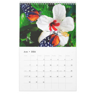 Different photographs of butterflies with flowers calendar