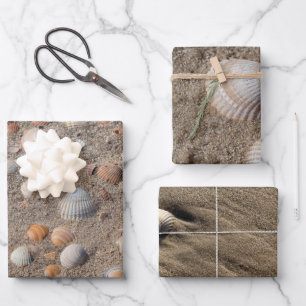 Different Sea shell photos Wrapping Paper Sheet