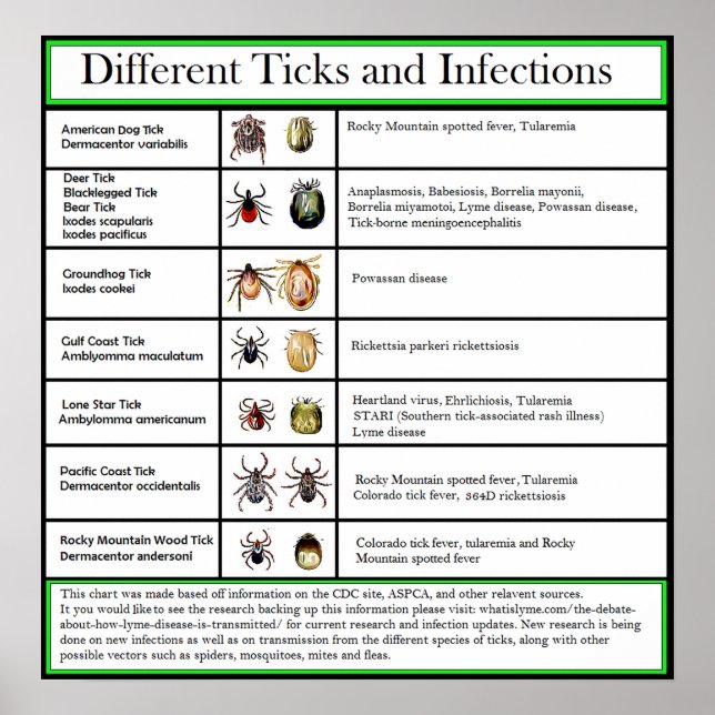 Different Ticks and Infections Chart (Front)