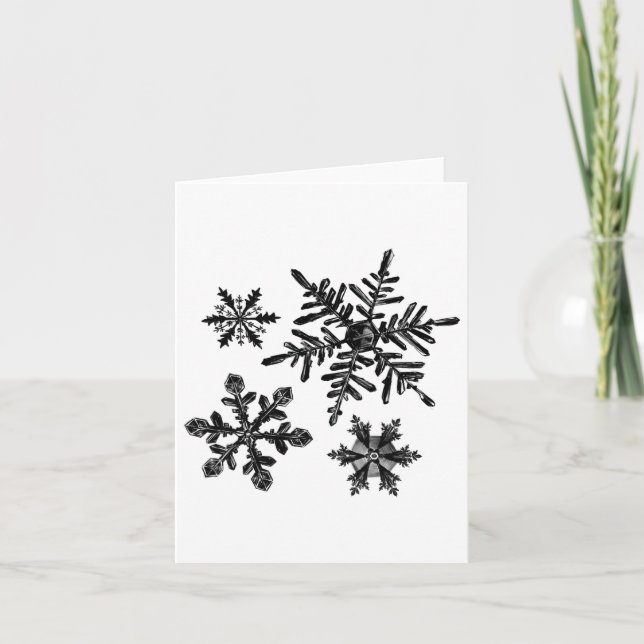 Different Types Of Snowflakes Snow Crystal Christm Card (Front)