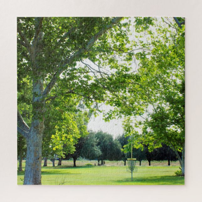 Difficile Disk Golf Puzzle (Vertical)