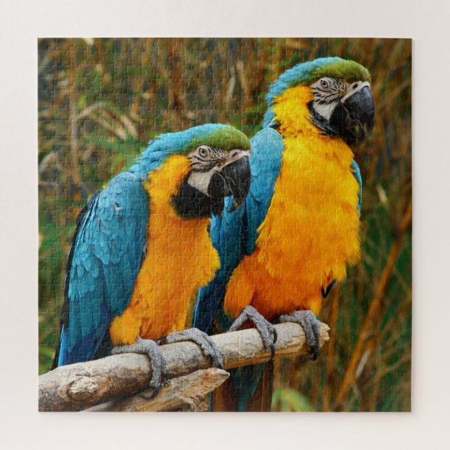 Difficile unique Macaw Bird Puzzle (Vertical)