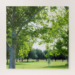 Difficult Disc Golf Puzzle