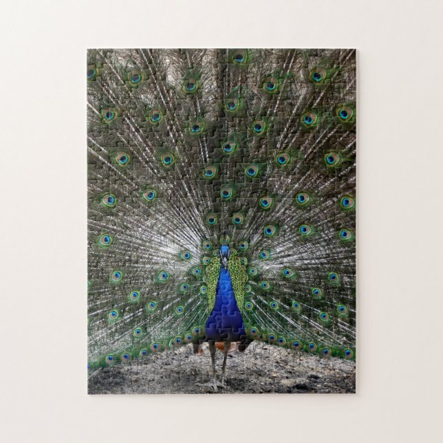 Difficult puzzles gifts peacock feathers puzzle (Vertical)