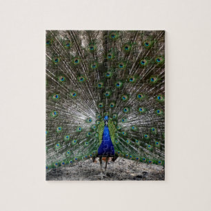 Difficult puzzles gifts peacock feathers puzzle