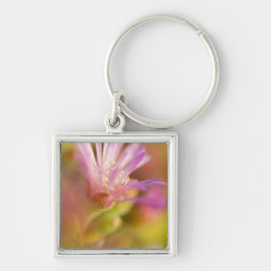 Diffused Image Of A Colourful Succulent Flower Keychain