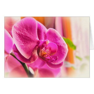 Diffused Orchid