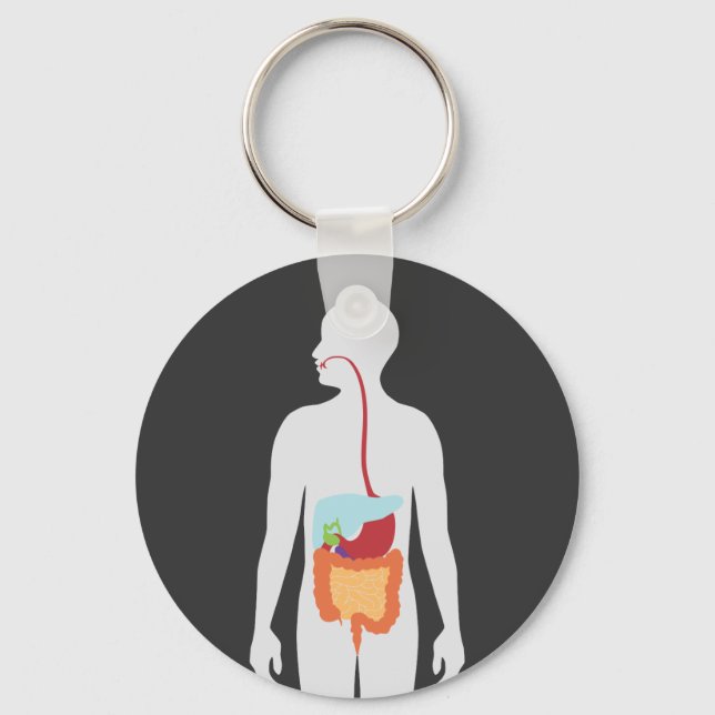Digestive System Keychain (Front)