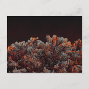 Digital art of pine tree with orange colour spots postcard