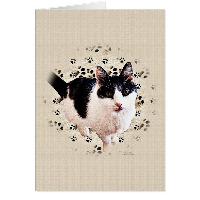 Digital Cat Sketch (Front)