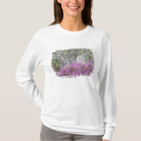 Digital Composite of Azaleas and magnolia tree