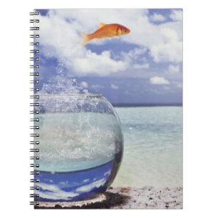 Digital composition notebook