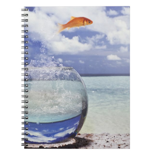 Digital composition notebook (Front)