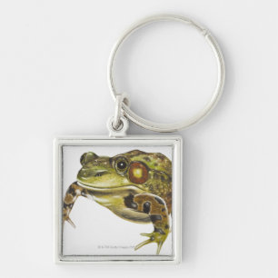 Digital illustration of Green Frog Keychain