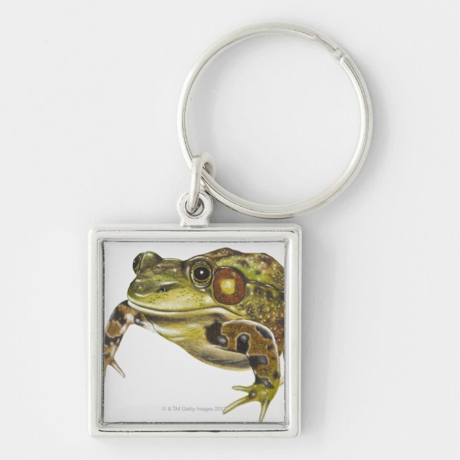 Digital illustration of Green Frog Keychain (Front)