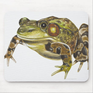 Digital illustration of Green Frog Mouse Pad
