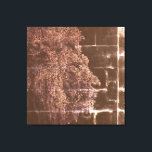 Digital Lion Darkness into Light Canvas Print<br><div class="desc">Digital Lion Darkness into Light Canvas Print</div>