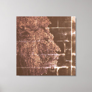 Digital Lion Darkness into Light Canvas Print