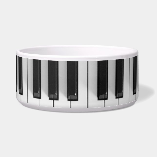 Digital piano keyboard (Front)
