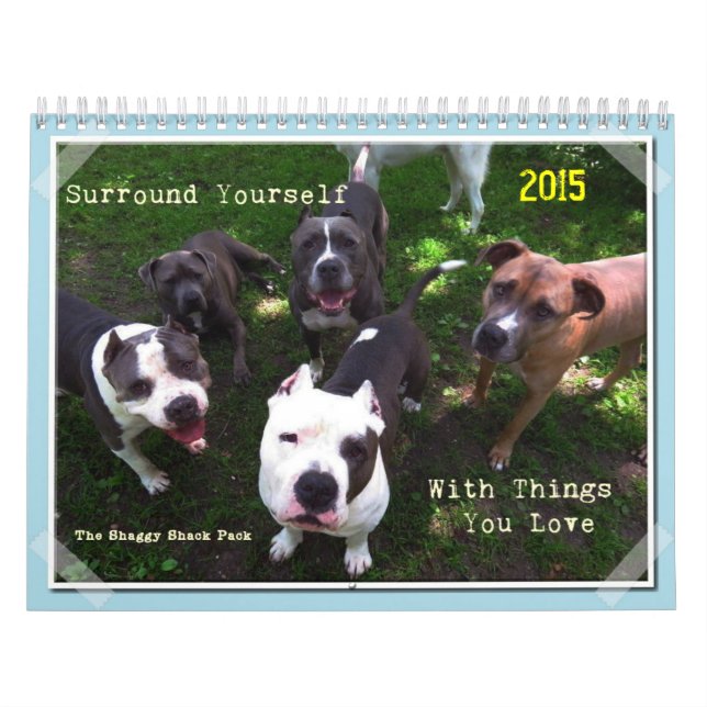 Digitally Artistic Shaggy Shack Calendar 2015 (Cover)