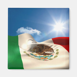 Digitally Generated Mexico Flag Rippling Magnet