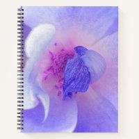 *~* Digitally Modified Rose from Pink to Blue
