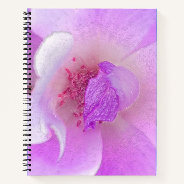 *~* Digitally Modified Rose from Pink to Lavender Notebook (Front)