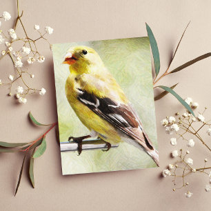 Digitally Painted Gold Finch At Bird Feeder Postcard