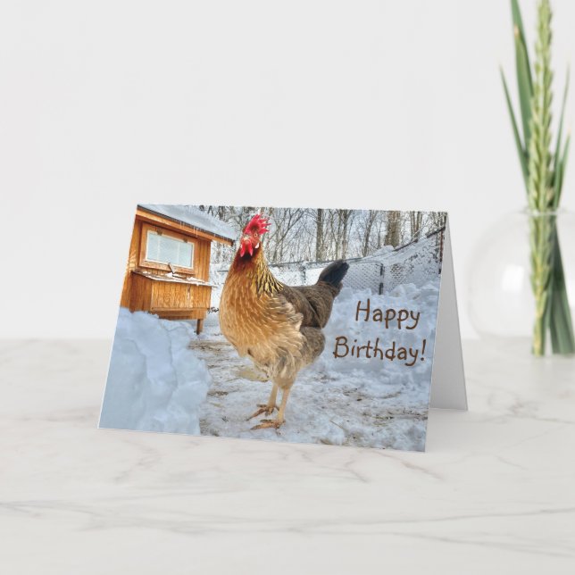Dignified Chicken Happy Birthday Card (Front)