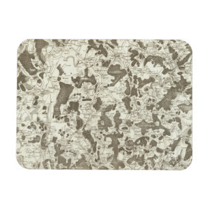 Dijon Magnet