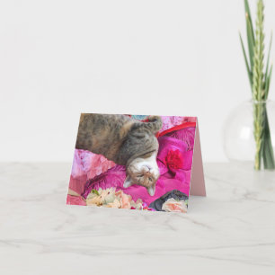 Dilemma of Princess Tatus Cat Card