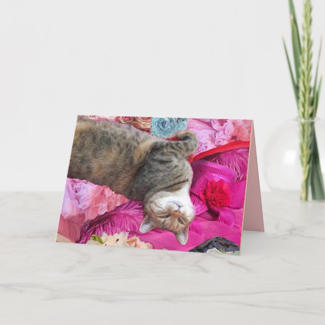 Dilemma of Princess Tatus Cat Card (Front)