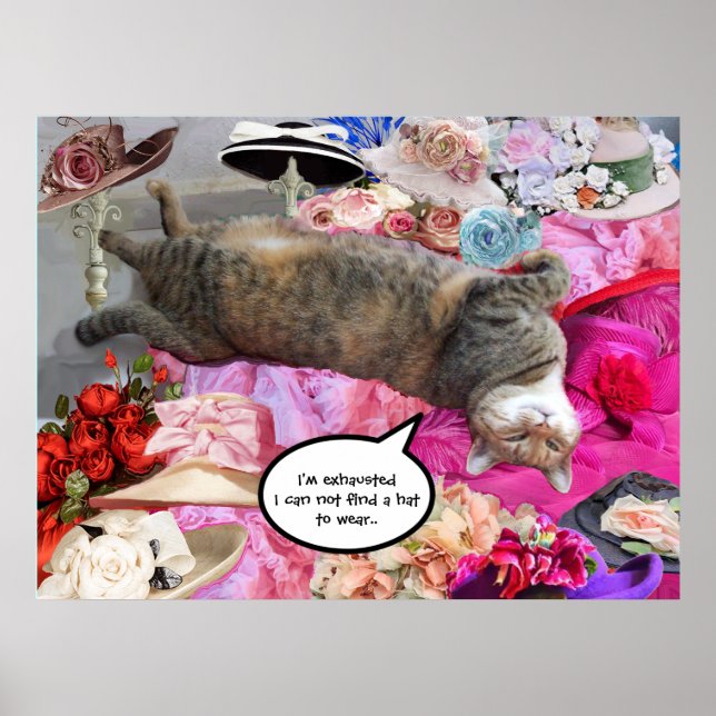 Dilemma of Princess Tatus Cat With Diva Hats Poster (Front)