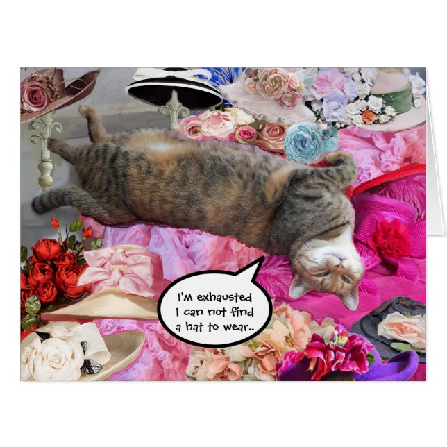 Dilemme de Princess Tatus Cat (Devant horizontal)