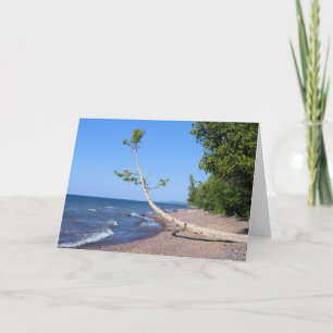 Diligently Seeking - Scripture Greeting Card