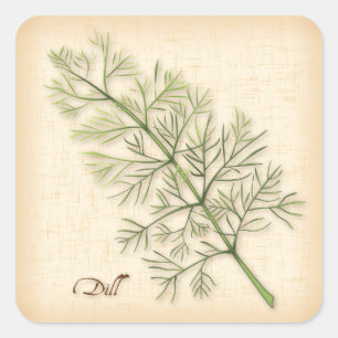 Dill Herb   Square Sticker