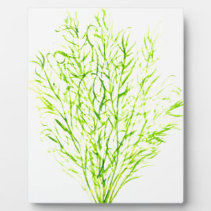 Dill herbs Dill watercolour Plaque