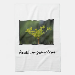 Dill weed delight kitchen towel