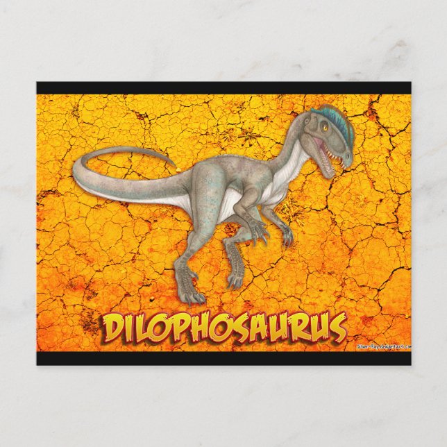 Dilophosaurus postcards (Front)