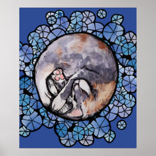 Dilute Calico Cat Cuddles Maine Coon Cats          Poster