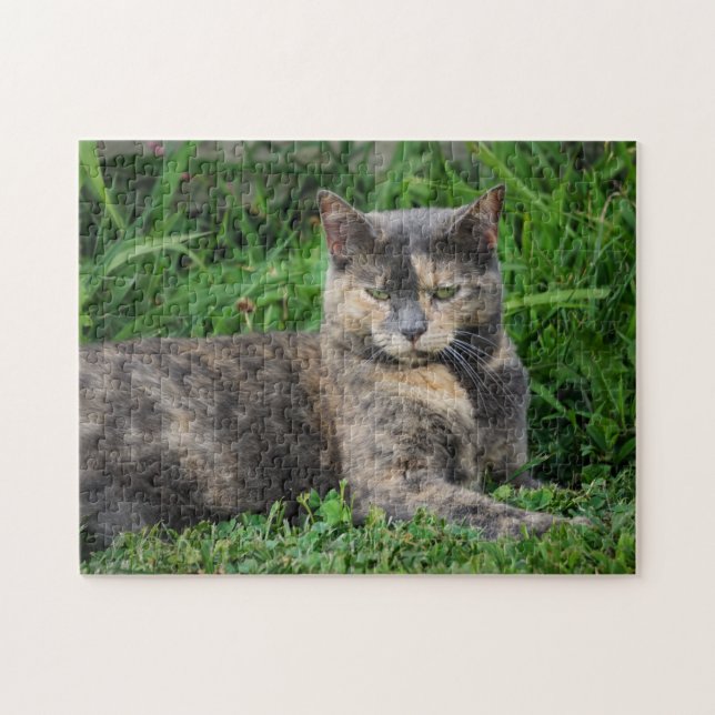 Dilute Calico Cat Jigsaw Puzzle (Horizontal)