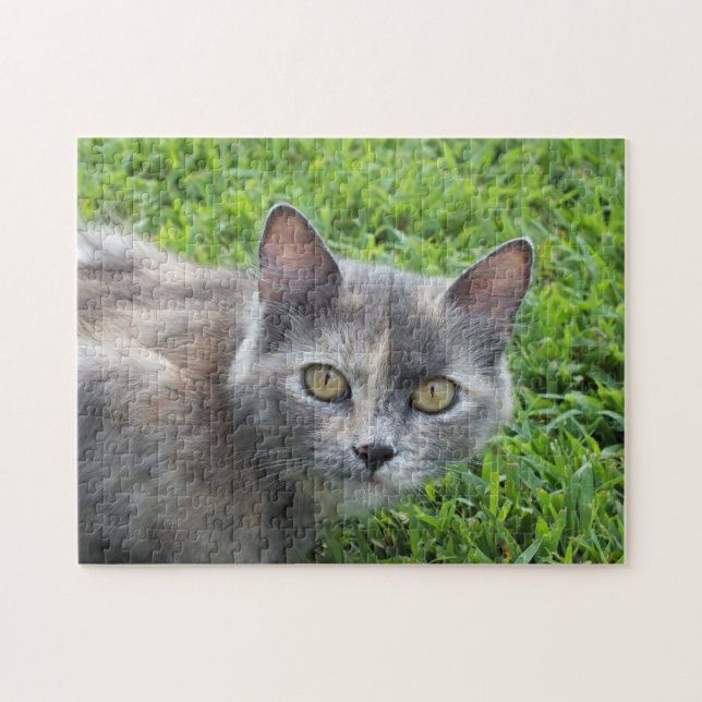 Dilute Gray Tortoiseshell Cat in Grass Jigsaw Puzzle (Horizontal)