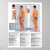 Dim Mak Death Striking Points Poster 18 X 24
