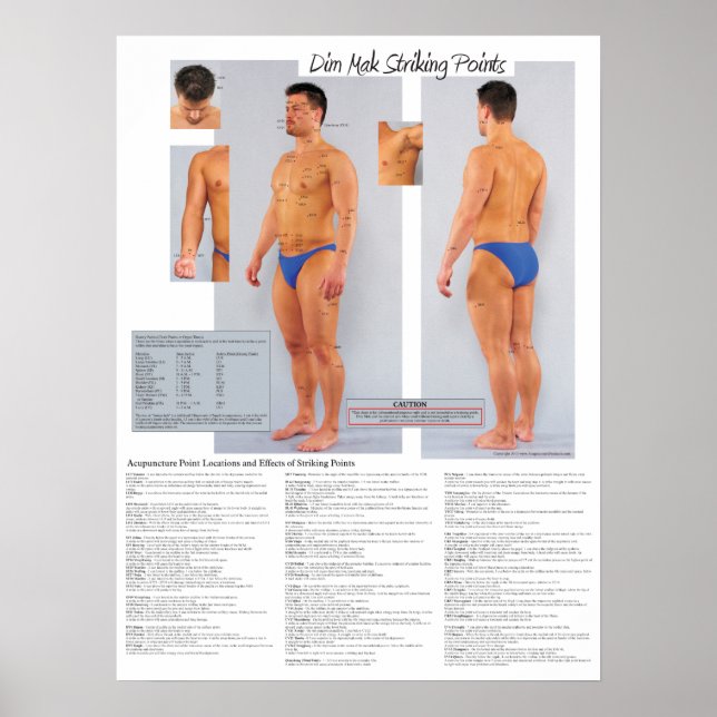 Dim Mak Death Striking Points Poster 18 X 24 (Front)