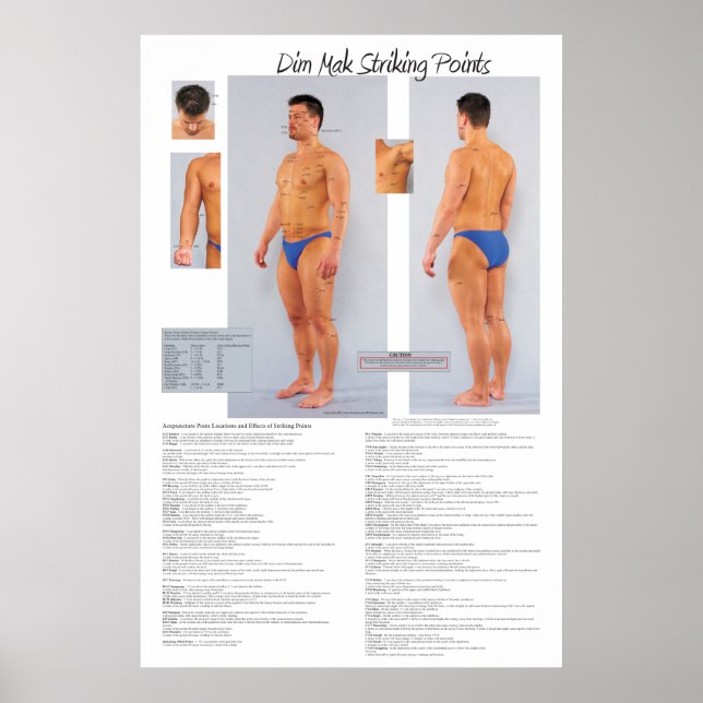 Dim Mak Death Striking Points Poster 24 X 36 (Devant)